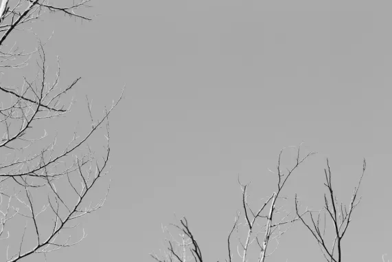 PocketWin Casino Support